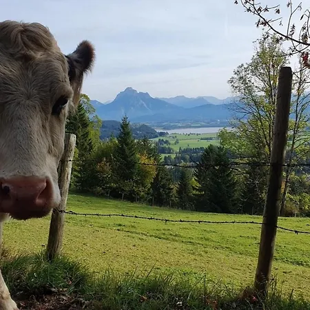 Apartment Alpenblick 1, Bergblick Pur Im Allgäu Halblech