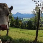 Apartamento Alpenblick 1, Bergblick Pur Im Allgaeu Halblech