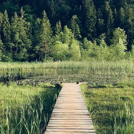 Alpenblick 1, Im Allgaeu, Bergblick Pur - Neueroeffnung!