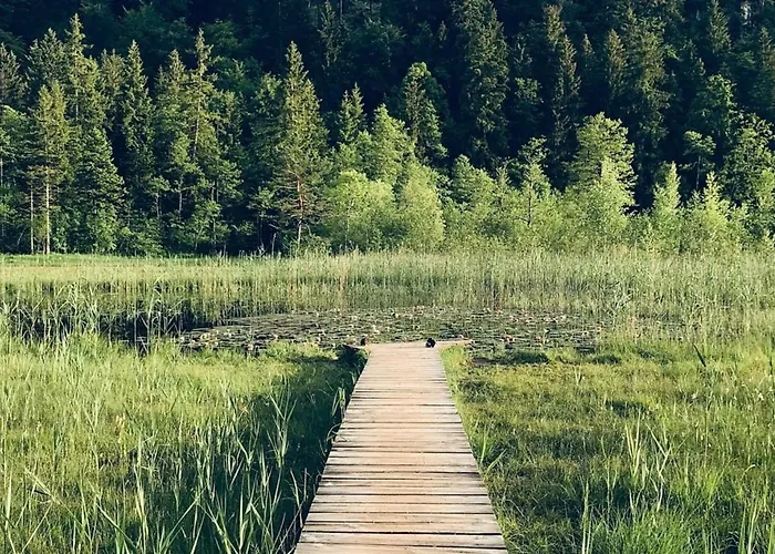 Alpenblick 1, Im Allgaeu, Bergblick Pur - Neueroeffnung!
