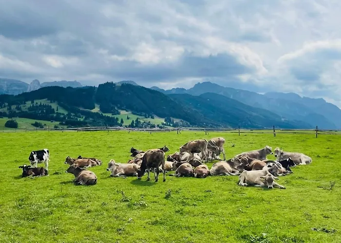Alpenblick 1, Im Allgaeu, Bergblick Pur - Neueroeffnung! Appartement